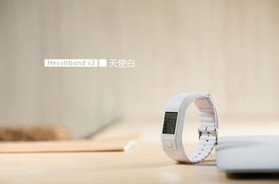 智能手环品牌评价与推荐
